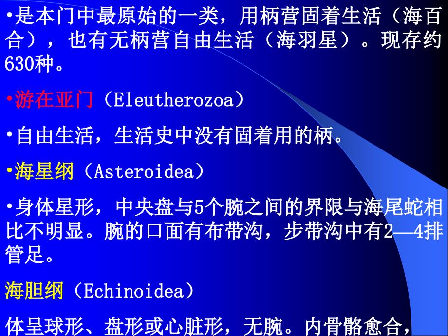 动物学教学课件：棘皮动物门(Echinodermata)_第4页