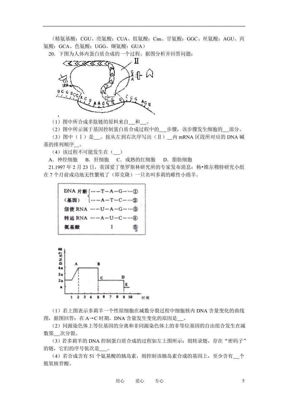 高中生物基因控制蛋白质的合成教案5苏教版必修2_第5页