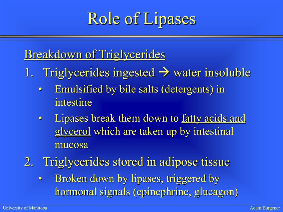 生物化学IILectureFattyacidmetabolismwebversion_第4页