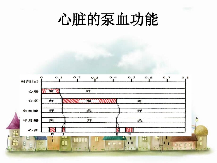 血液循环精品资料_第3页