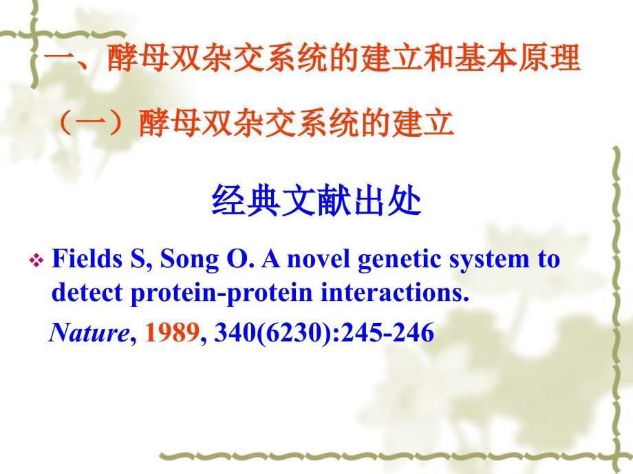 酵母双杂交系统课件_第5页