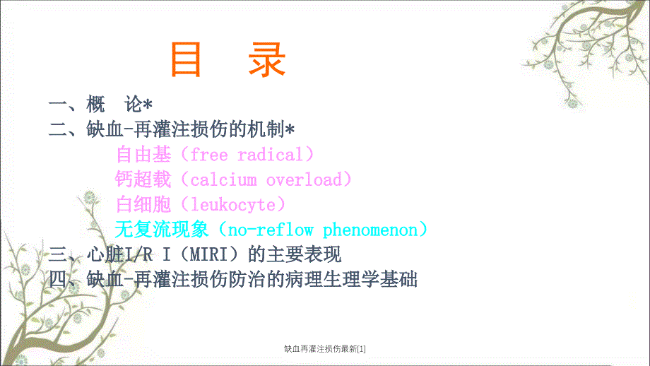 缺血再灌注损伤最新1_第2页