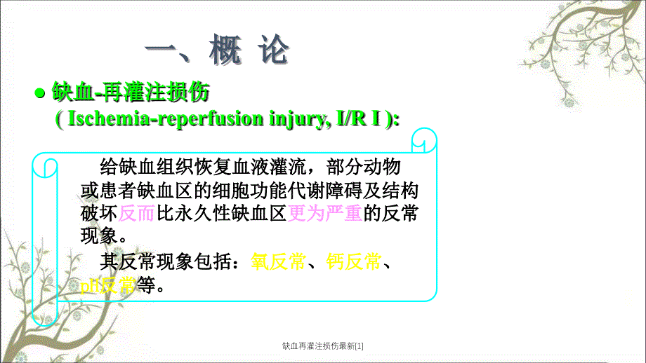 缺血再灌注损伤最新1_第3页