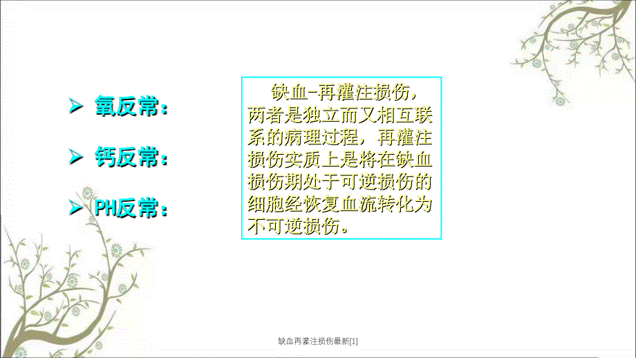 缺血再灌注损伤最新1_第4页