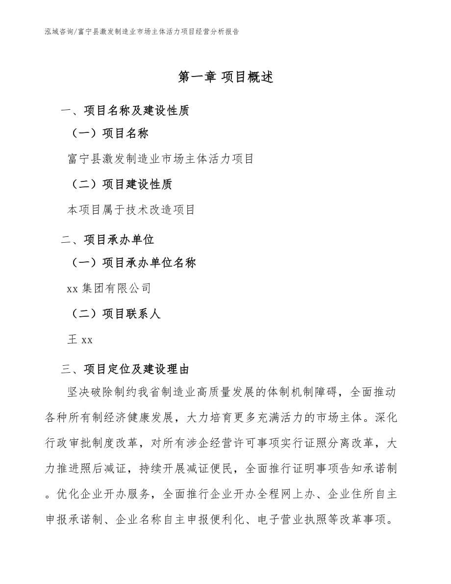 富宁县激发制造业市场主体活力项目经营分析报告_范文_第5页