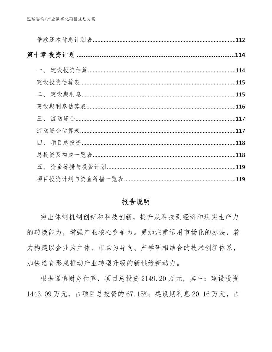 产业数字化项目规划方案模板参考_第5页