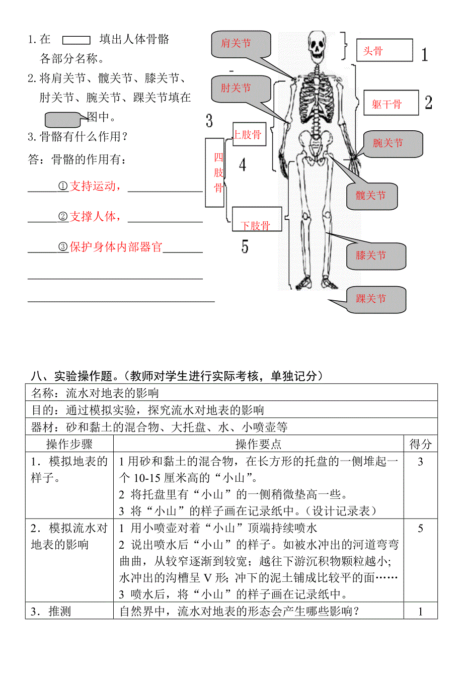 六年级科学单元练习3答案(2022秋)_第4页