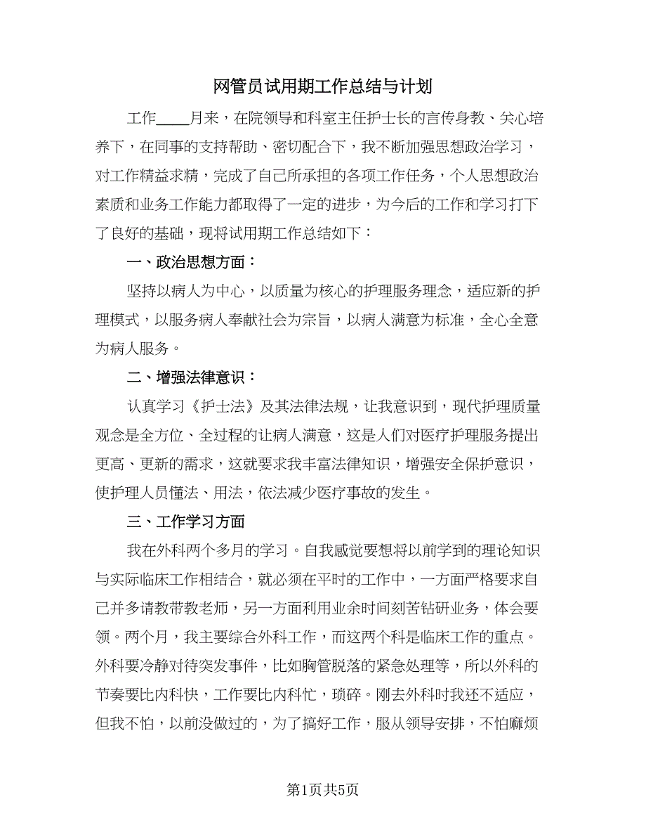 网管员试用期工作总结与计划（三篇）.doc_第1页