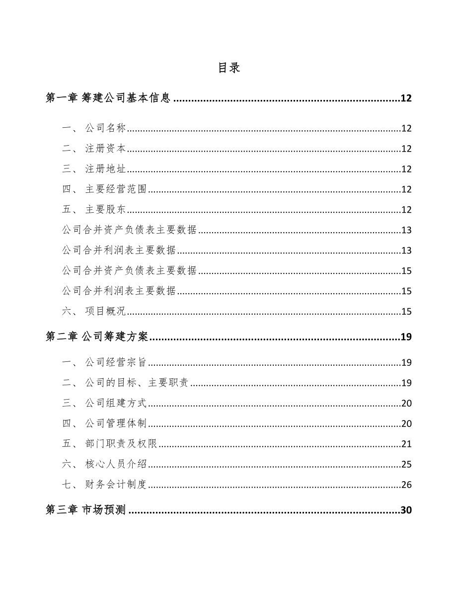 长沙关于成立特种陶瓷制品公司可行性研究报告_第2页