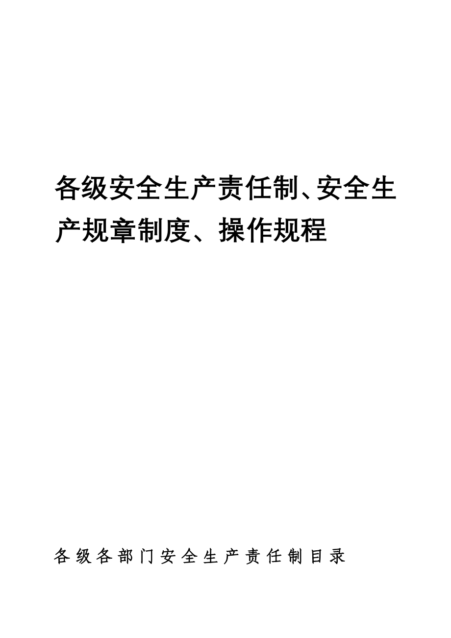 各级安全生产责任制、安全生产规章制度、操作规程_第1页