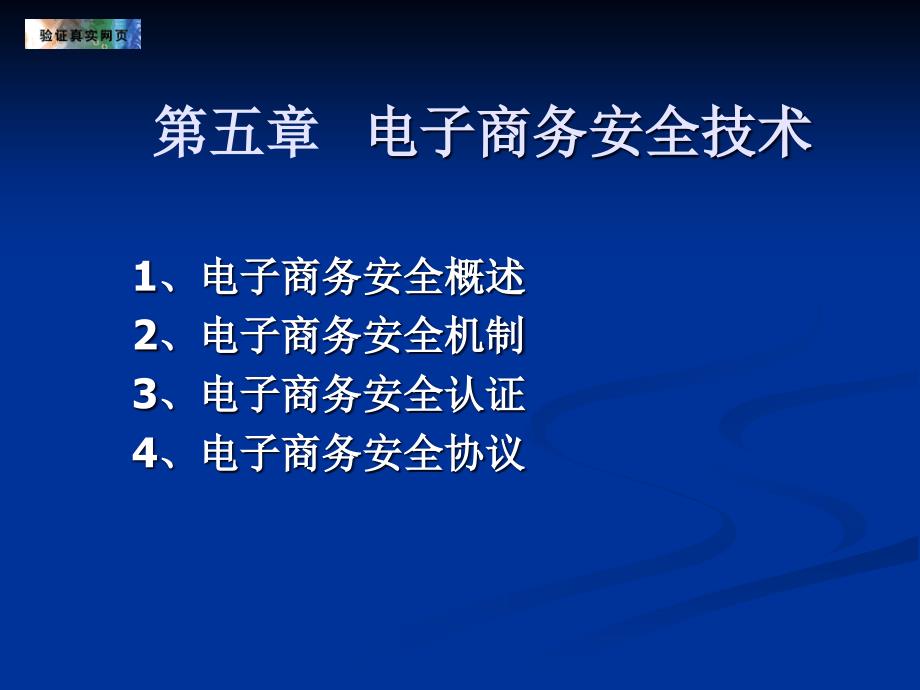 第五部分电子商务安全技术_第1页