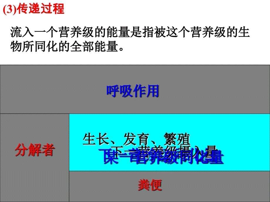 52[1].3生态系统的能量流动与物质循环_第5页