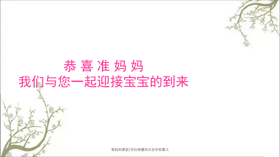 准妈妈课堂2孕妇保健知识及孕检意义_第1页