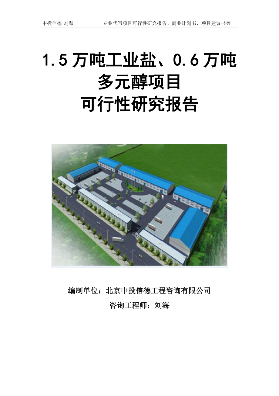 1.5万吨工业盐、0.6万吨多元醇项目可行性研究报告模板立项审批_第1页