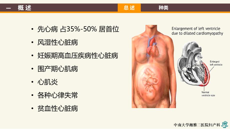 妊娠合并心脏病yld_第4页