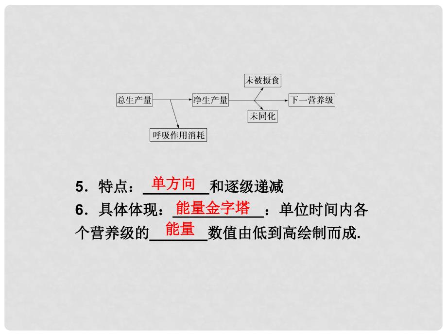 高中生物 2.3.2 生态系统的功能同步课件 中图版必修3_第5页