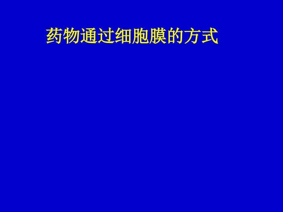 药理学课件4药物代谢动力学_第5页