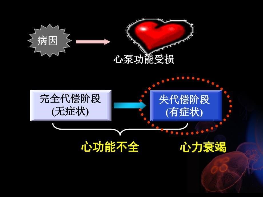 心衰病理生理学_第5页