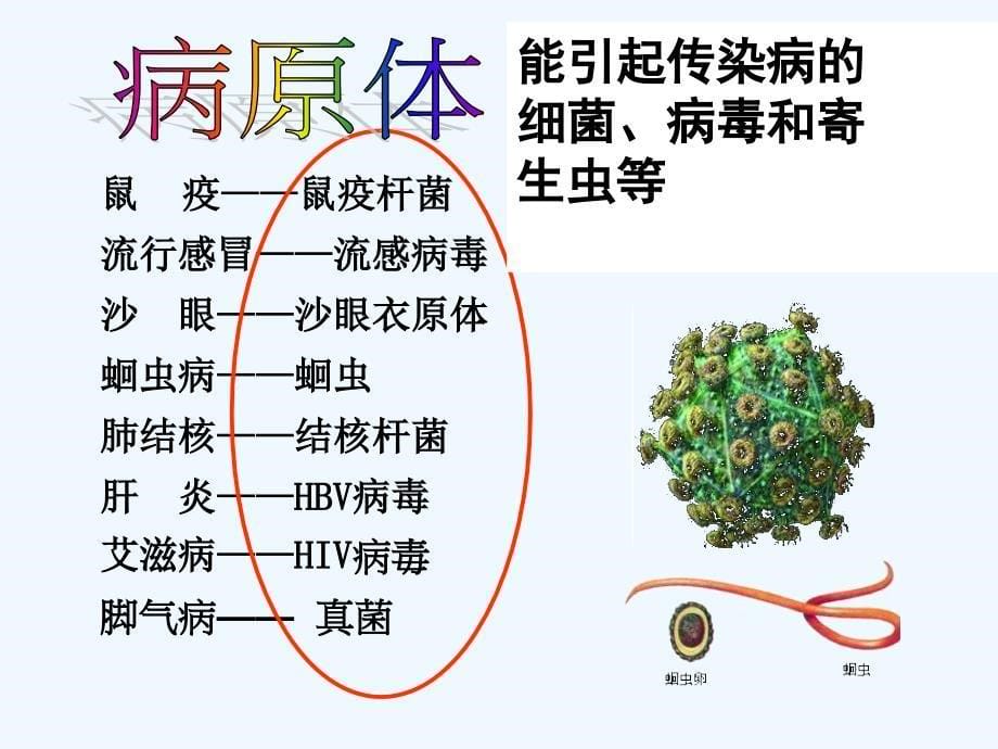 第一节传染病及其预防用2_第5页