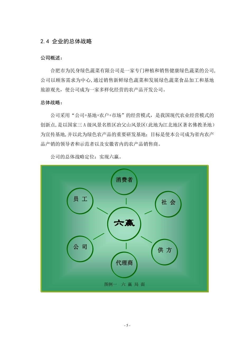 绿色蔬菜公司创业计划书_第5页