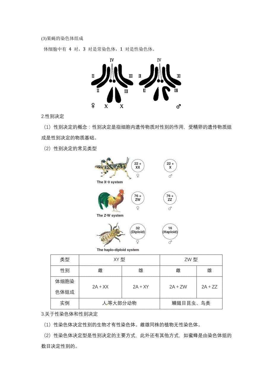 高三一轮复习生物讲义：伴性遗传的常规解题方法.docx_第5页