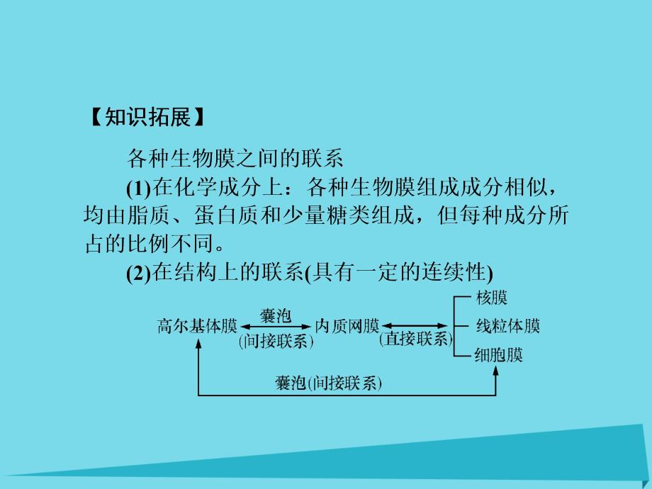 高考高考生物一轮复习 第三章 细胞的基本结构（第六课时）第3节 细胞的生物膜系统、细胞核-系统的控制中心课件 新人教必修1_第4页