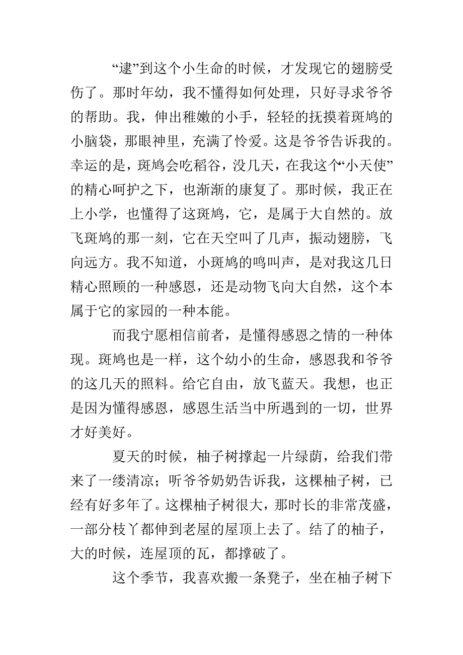老屋情结-3000字作文_第3页