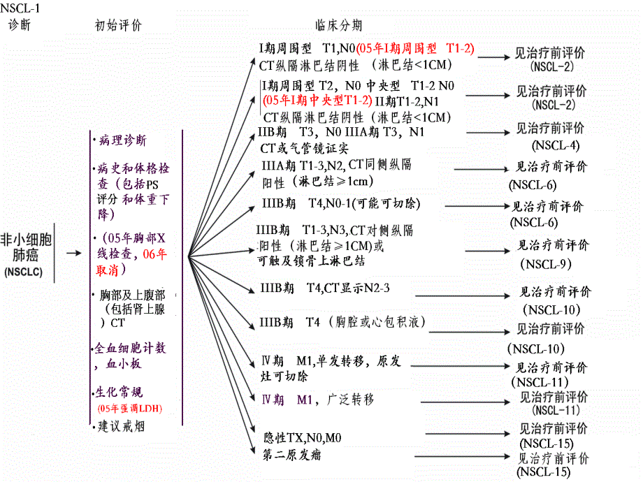 nccn非小细胞肺癌指南.ppt_第3页