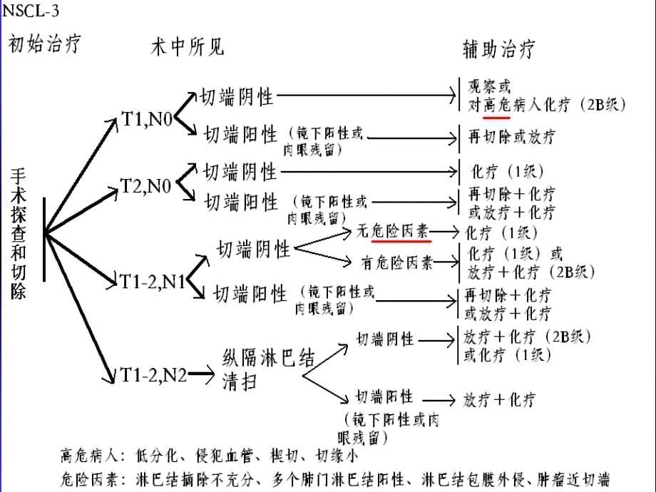 nccn非小细胞肺癌指南.ppt_第5页