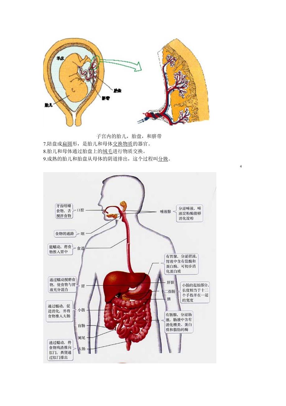 重点：初一下册生物 图形题.doc_第2页