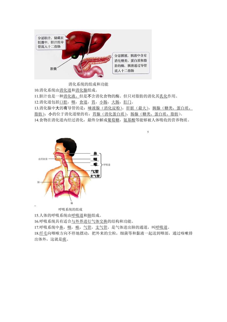 重点：初一下册生物 图形题.doc_第3页