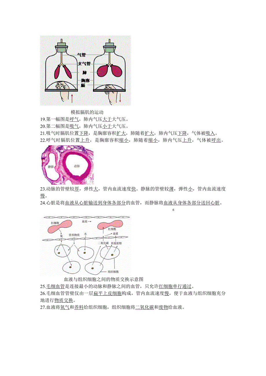 重点：初一下册生物 图形题.doc_第4页