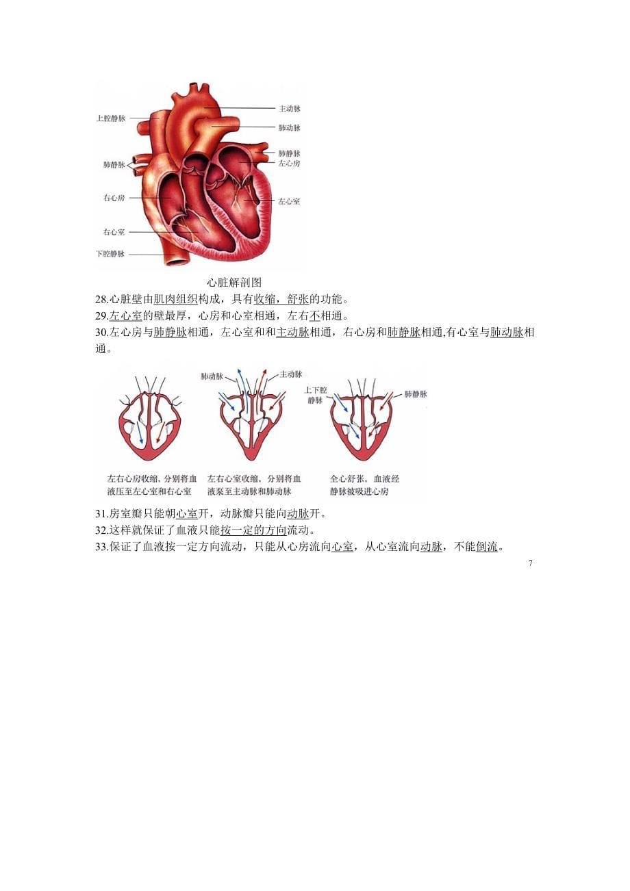 重点：初一下册生物 图形题.doc_第5页