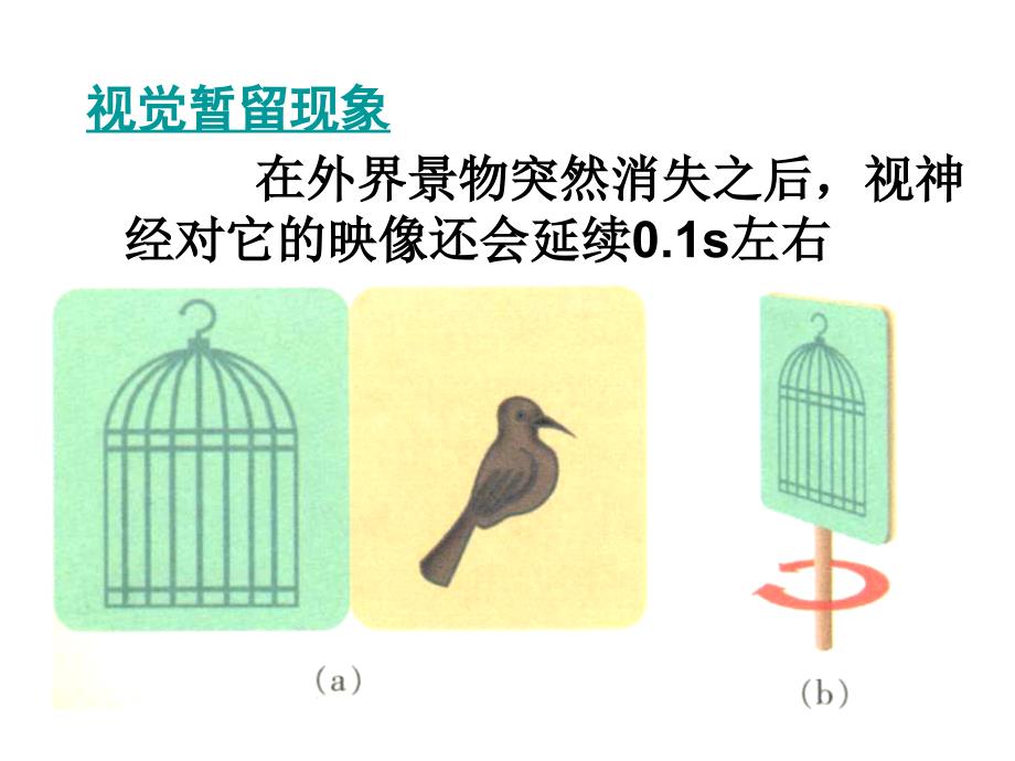 4照相机与眼睛视力的矫正_第4页