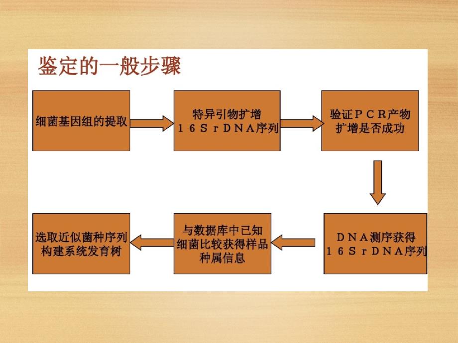 16S鉴定细菌的种属_第4页