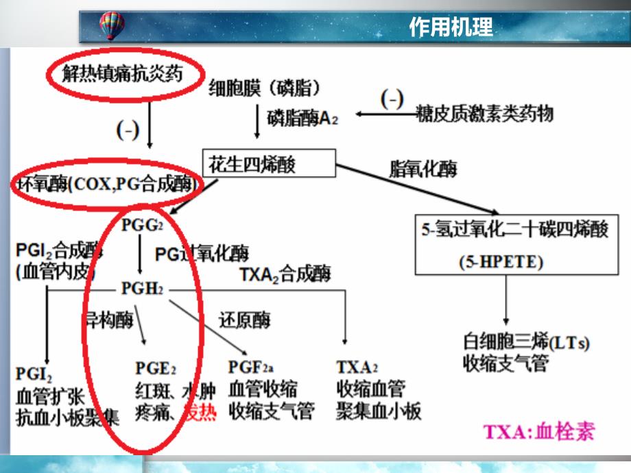 阿司匹林及其药理_第3页