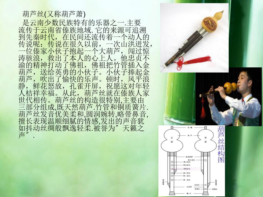 六年级上册音乐月光下的凤尾竹1ppt课件_第3页