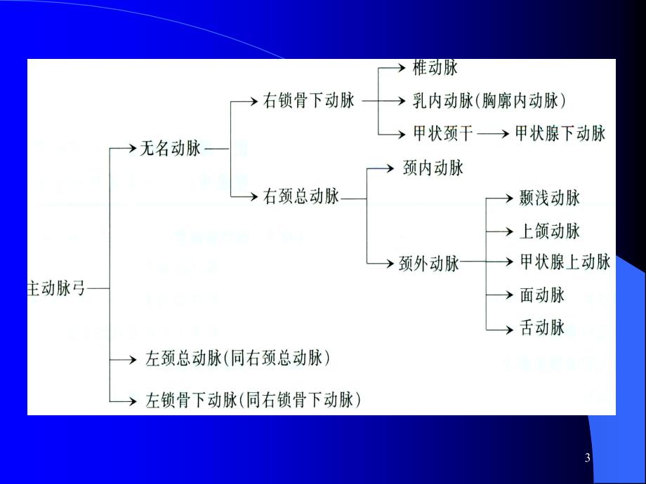 颈动脉超声检查及诊断标准ppt参考课件_第3页