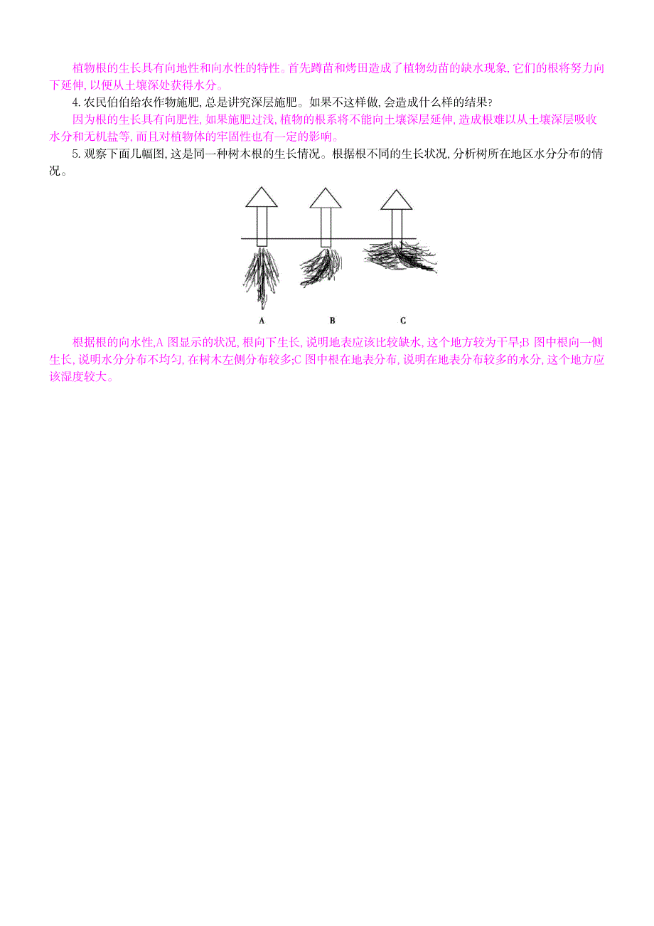 【冀教版】八年级生物上册：3.2.1根的生长导学案_第2页