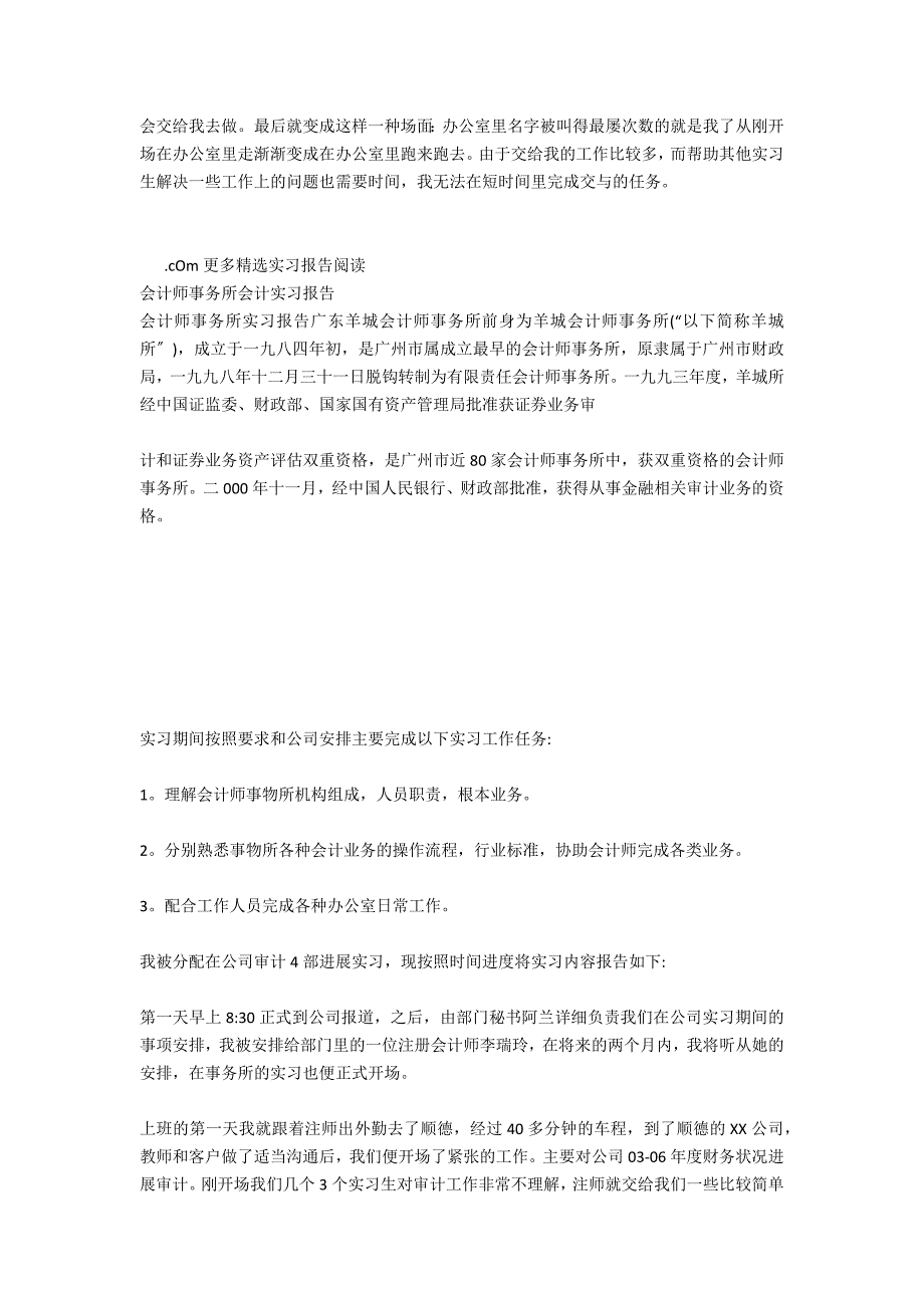 会计师事务所实习报告内容_第3页