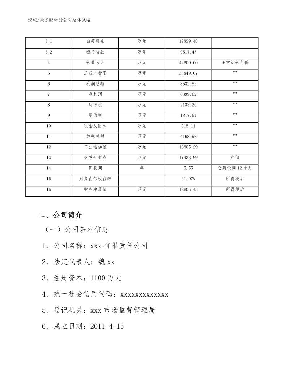 聚芳醚树脂公司总体战略_第5页