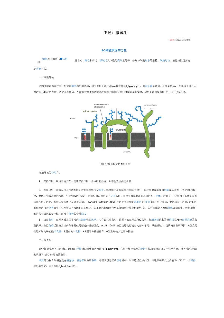 小肠微绒毛_第1页