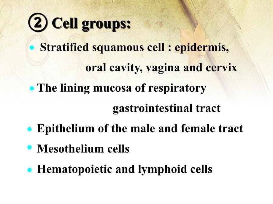 医科大学病理学英文课件CHAPTERITissuerepair_第5页