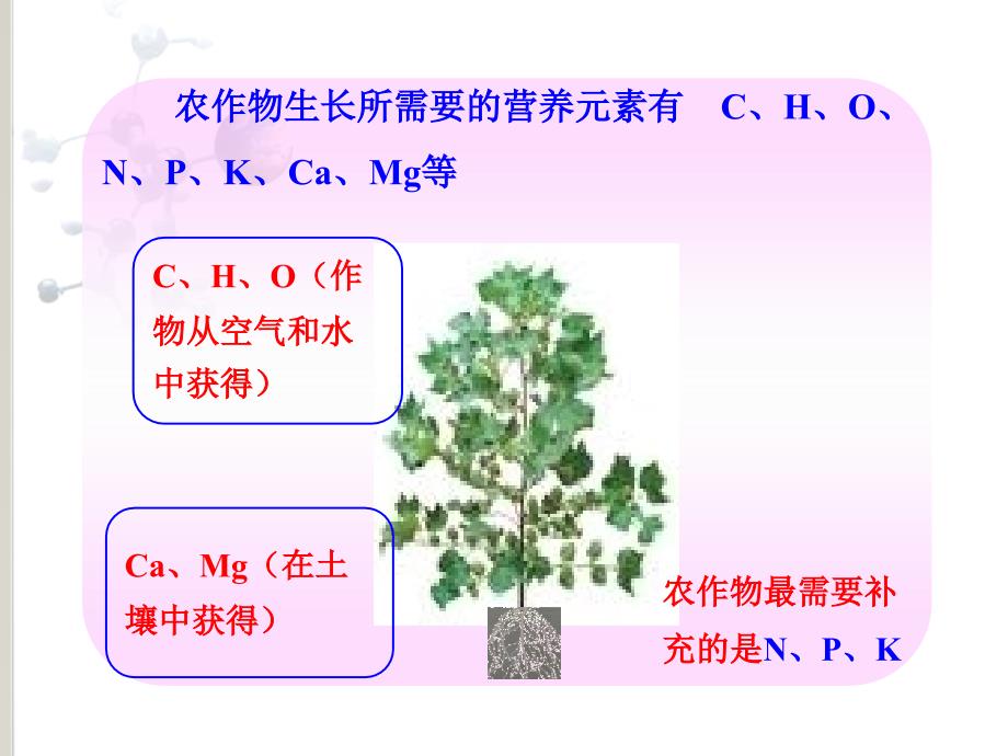 九年级化学人教版下册第十一单元课题二化肥课件_第2页