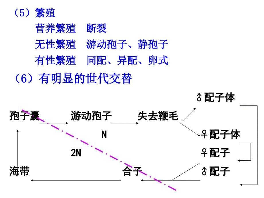 普通生物学第十章植物的类群(二)_第5页