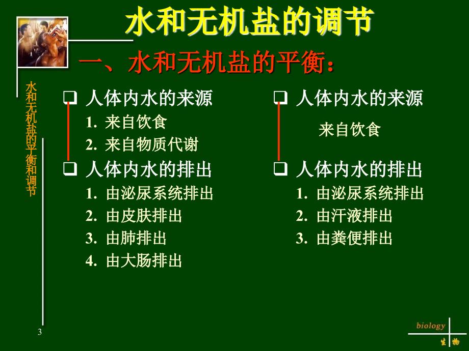 水和无机盐的调节_第3页