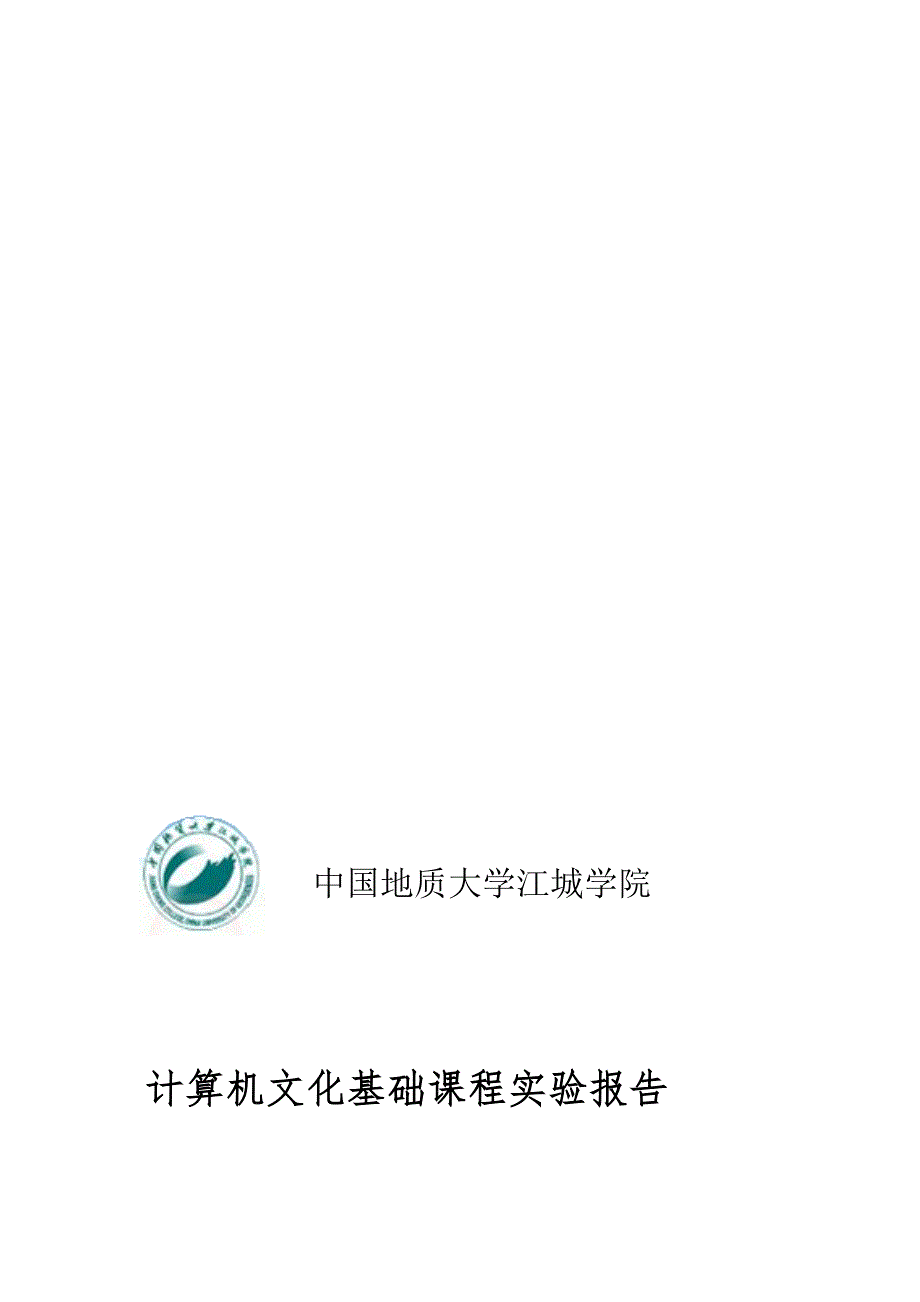 计算机文化基础课程实验报告_第1页