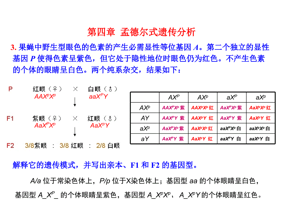 遗传学第二版课后答案18章课件_第3页