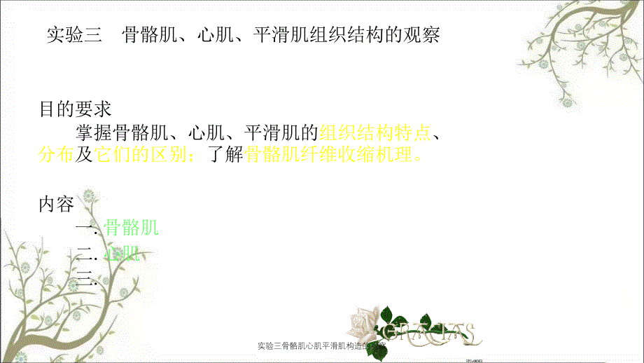 实验三骨骼肌心肌平滑肌构造的观察_第1页