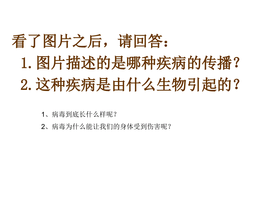 Q第五章病毒课件_第2页